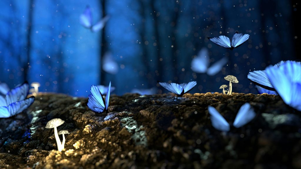pexels-photo-326055-326055 Magical scene of blue butterflies fluttering amidst glowing mushrooms in a dark forest.